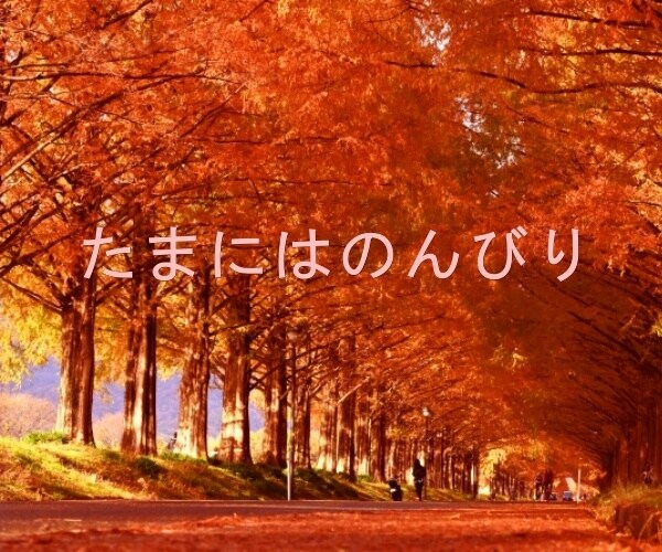 フンワリ心地良い睡眠をあなたにお届けします 素敵な夢を見て欲しいから。明日はきっといい日になります♪ イメージ4