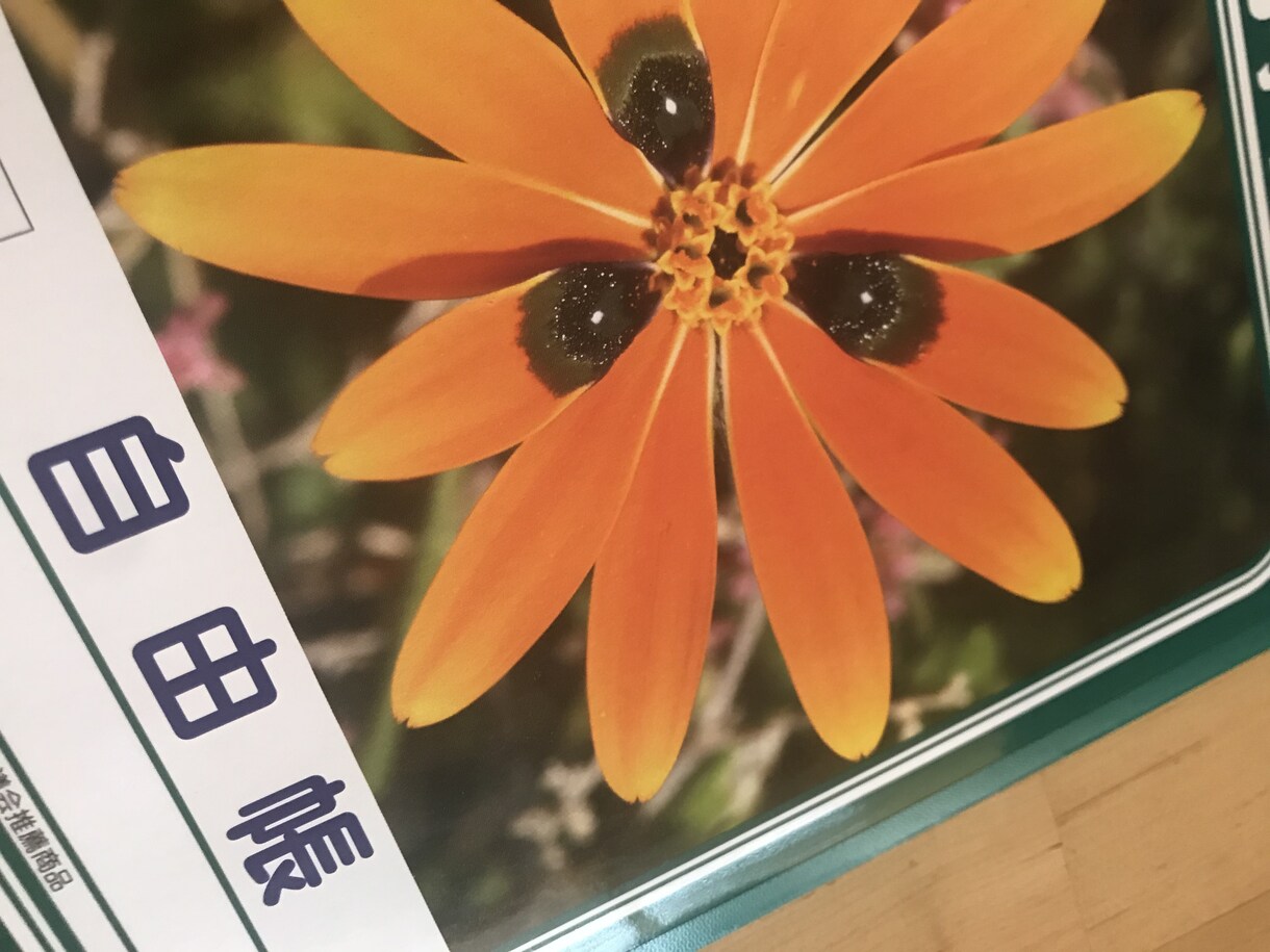 AIに思い浮かばないアイディアを出しまくります ネット検索で出てくるようなありきたりに飽き飽きな方へ イメージ3