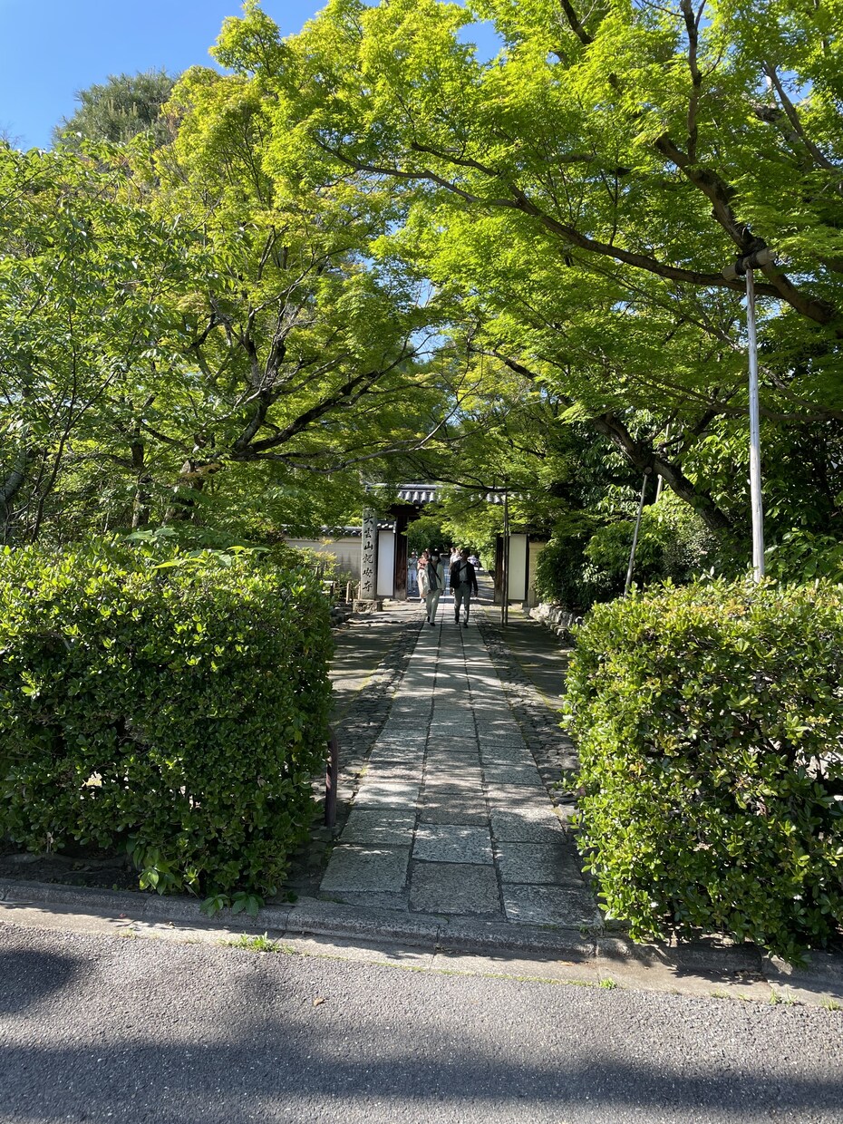 LINE感覚で秘書サポートします 忙しくて頭が回らない日LINE感覚で気軽に頼れるサポート役に イメージ1