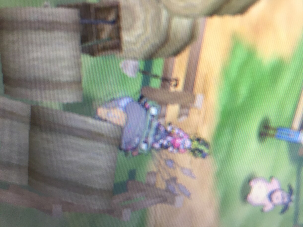 ポケモン孵化代行をします ポケモンサンムーン、ussmで忙しくて孵化作業できない方へ！ イメージ2