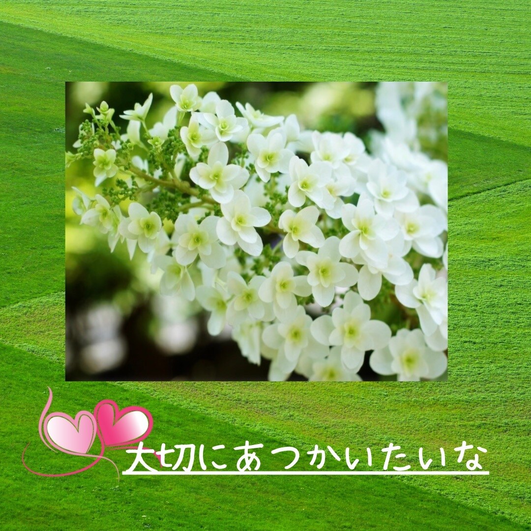 今すぐ、誰かに話したい!!あなたの気持ちに応えます 人間関係のモヤモヤ(-᷅_-᷄) ぜーんぶ話してスッキリ!! イメージ5