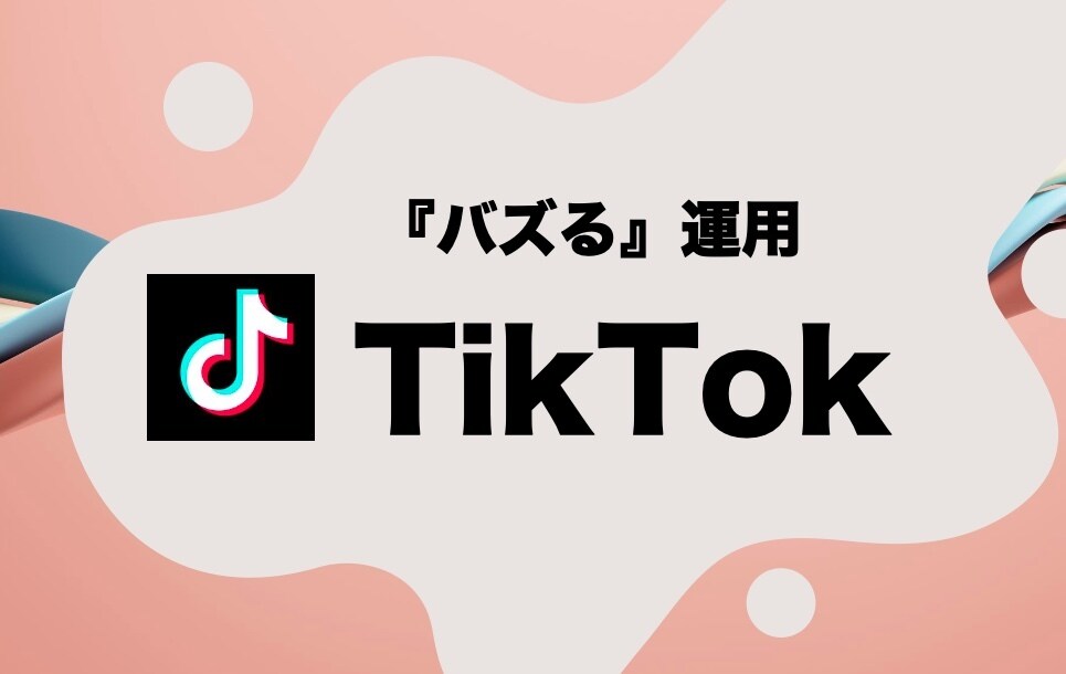 オーダーメイド  TikTok運用行います 企画・撮影・運用まで全てオーダーメイドで運用いたします！ イメージ1
