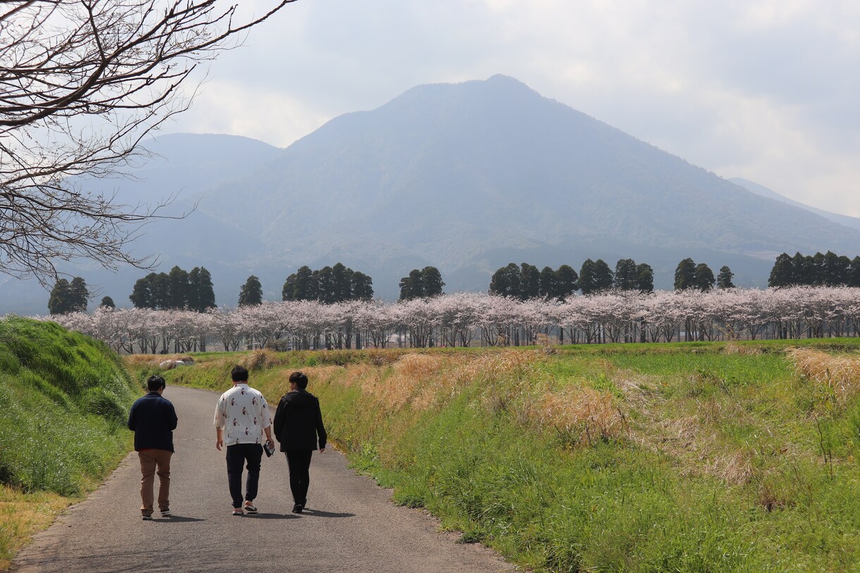 田舎ならではの自然、海の世界観を提供してます ご依頼様のご希望に添える一枚を提供致したいです。 イメージ4