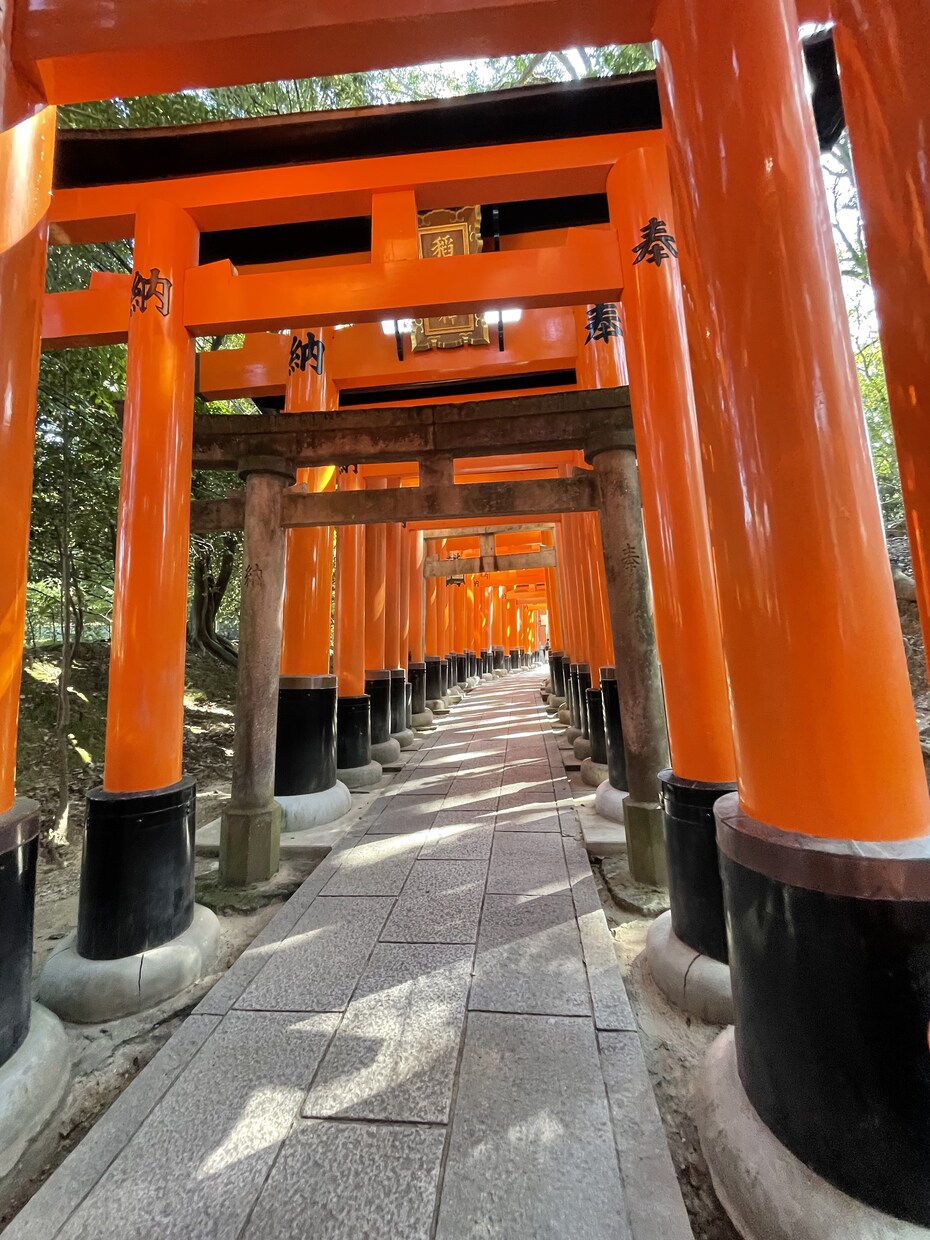 ちょっと言いたい、ちょっと聞いて欲しい話聞きます 日々の愚痴、悩み、相談を教えてください イメージ1