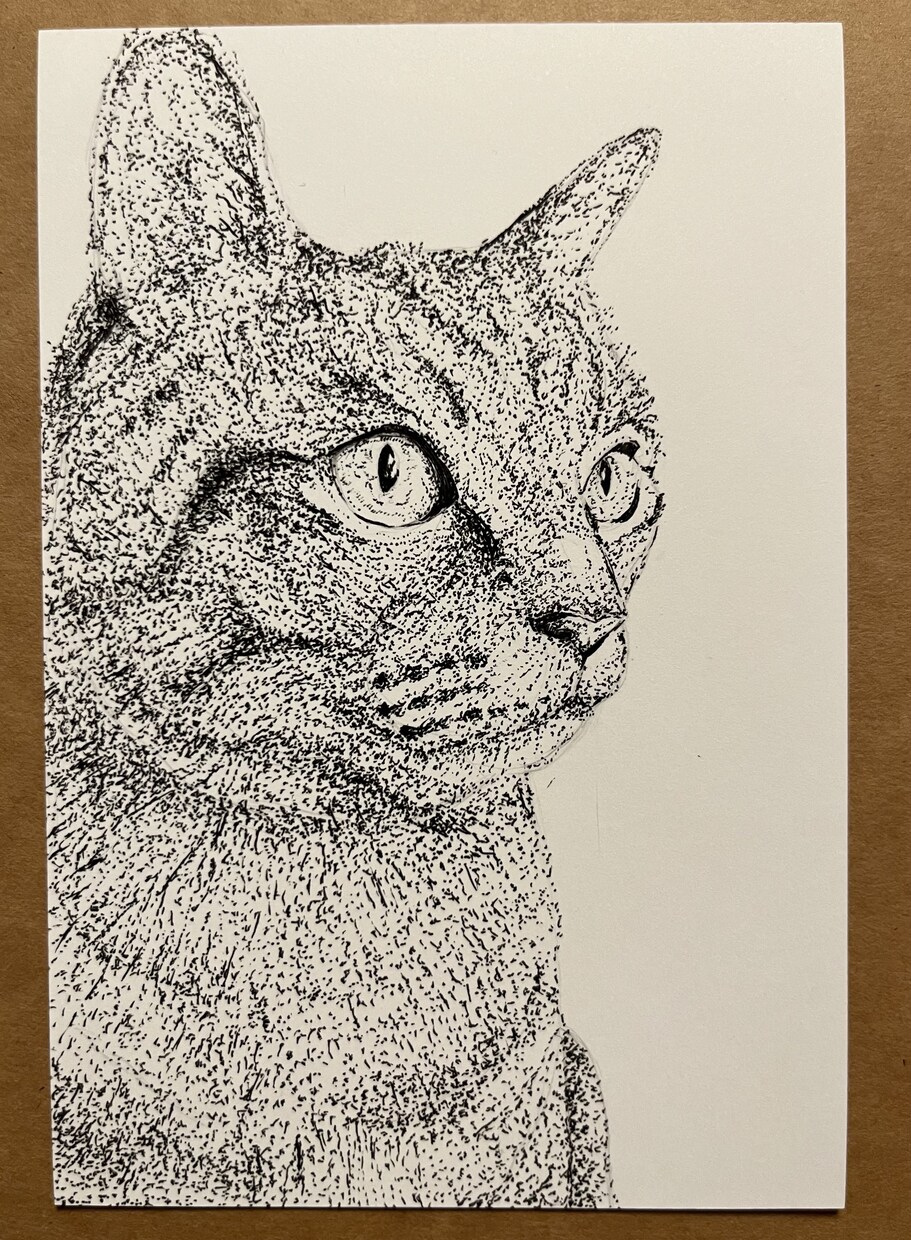 大切なペットの似顔絵を描きますます ボールペン画で家族の思い出残します。 イメージ1