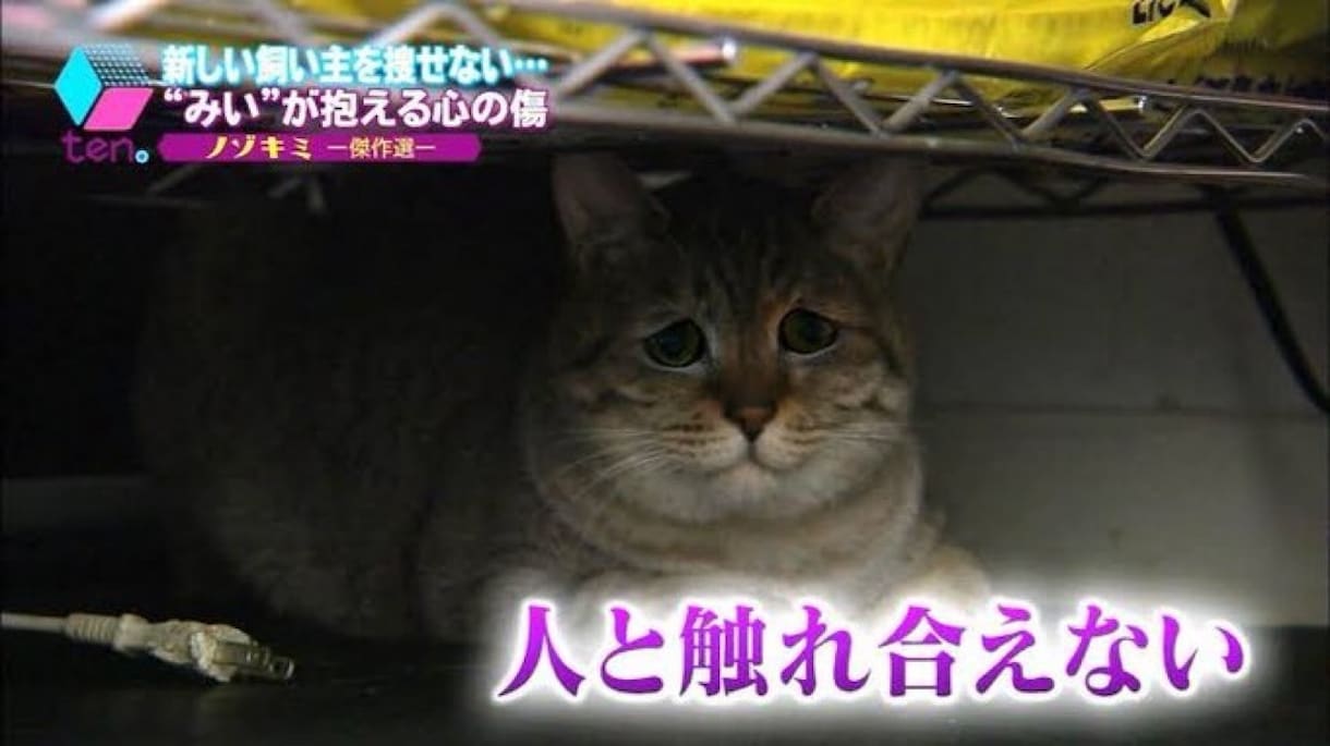 どんなお話も聞きます 恋愛の悩みや人間関係など愚痴やお悩みなんでも聞きます♪ イメージ1