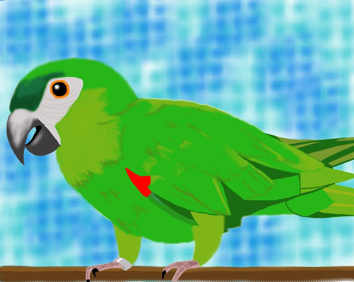 ペットや動物の写真を元にイラストを描きます ★ちょっとマイナーな動物好きな人も是非ご利用ください★ イメージ2