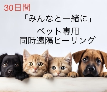 30日間 治療中のペットちゃんに癒しを提供します ペット専用「みんなと一緒に」同時遠隔ヒーリング イメージ1
