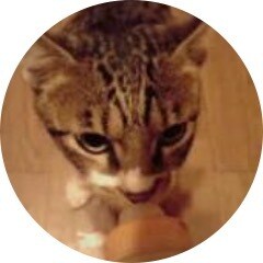 日本語⇄中国語翻訳通訳します 日中のクォーターのバイリンガルです！！ イメージ1
