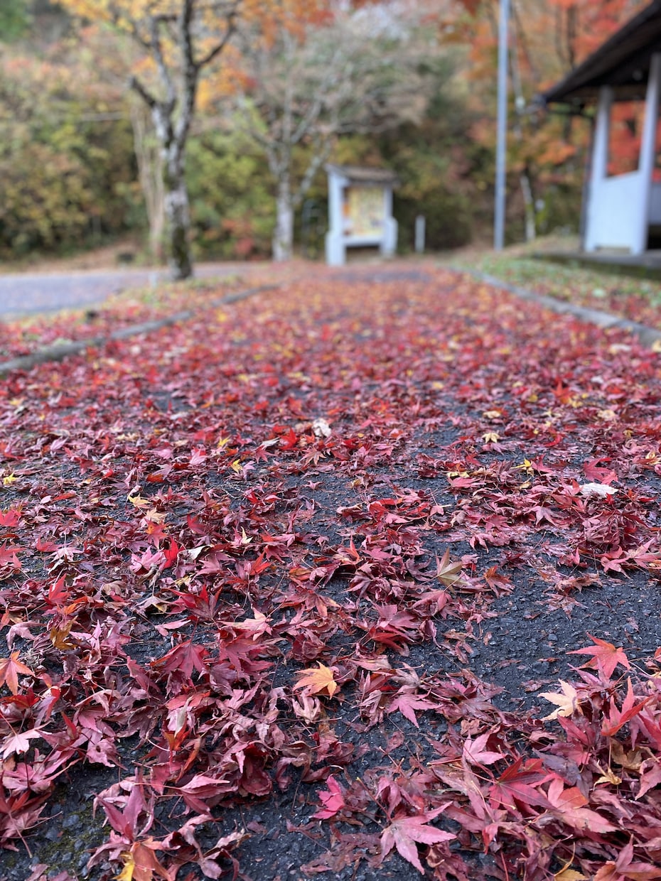 介護の現状を聞きます ちょっと一息してほしい。介護の愚痴や思い聞かせて下さい イメージ1