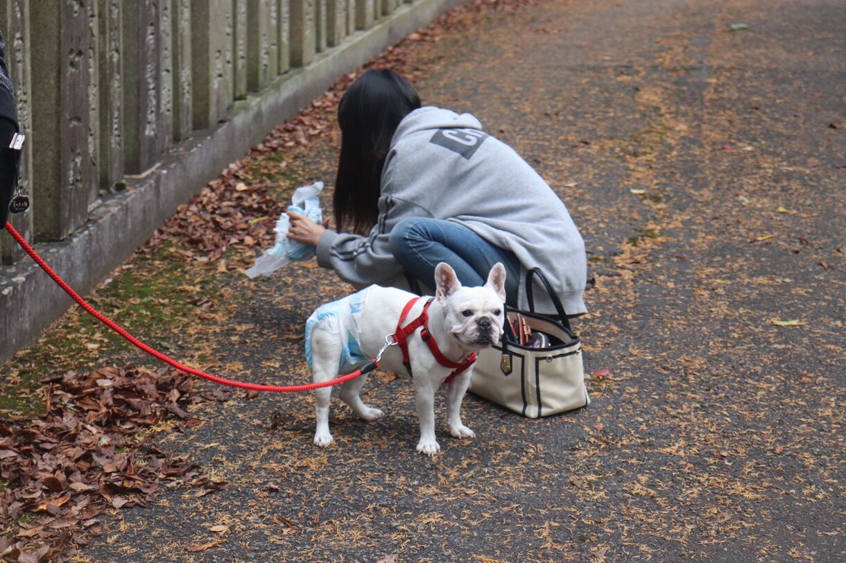 5分でもOK！どんな内容でもお話聞きます 楽しい会話も深刻な内容もなんでもどうぞ！ イメージ1