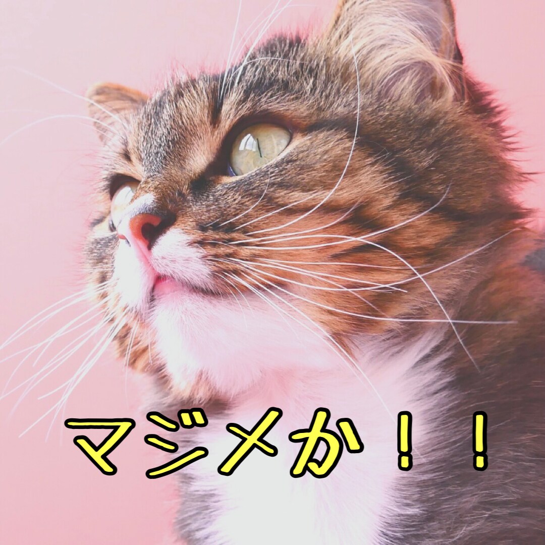 モテ効果抜群❤️笑うことであなたの魅力アップします 毎日ポジティブ⭐️心を明るく前向きにして幸運を引き寄せましょ イメージ5
