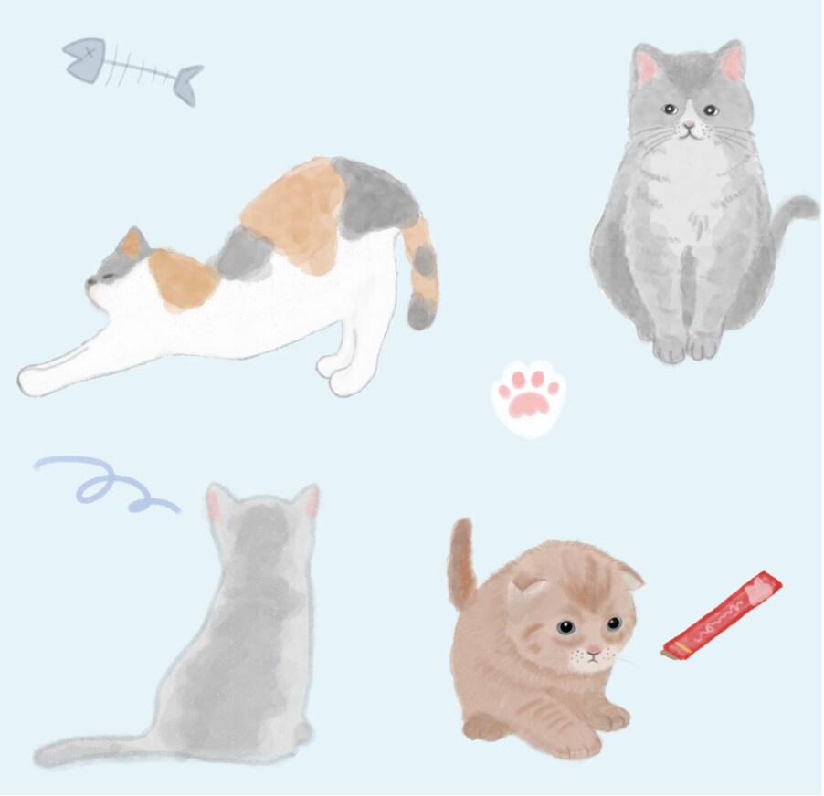 女性にウケるイラストやデザイン描きます 現役女性デザイナーが描く、女性ウケするイラスト イメージ2