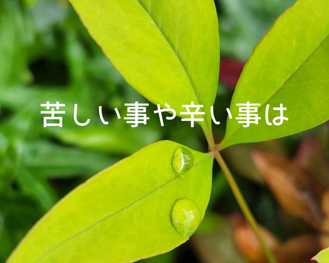 今話しましょ☆頑張ってるあなたの気持ちお聞きします 介護士が全力応援☆心の声に傾聴☘️愚痴☘️雑談☘️仕事☘️ イメージ7