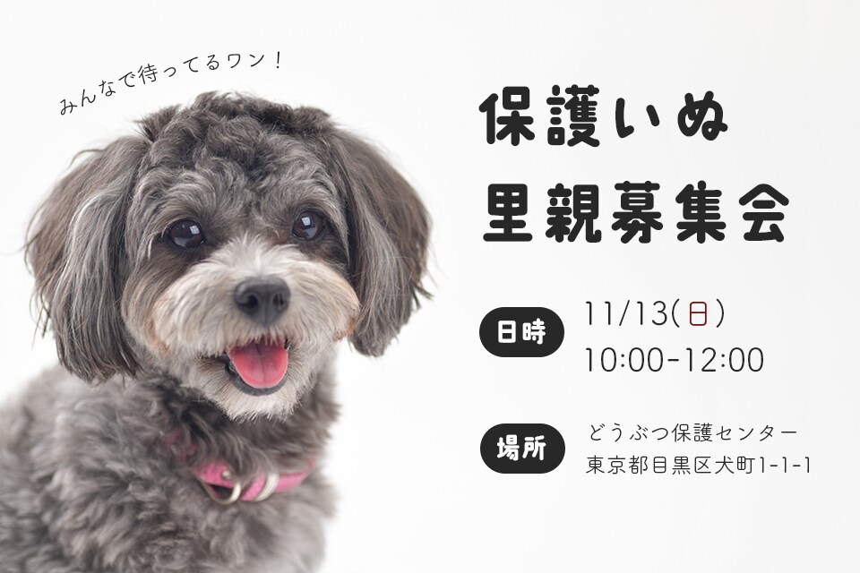 高品質！低価格！WEB用画像制作します ◆バナー・ヘッダー・アイコン・サムネイル…全サイズ同一料金！ イメージ6