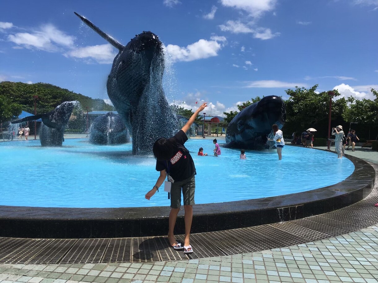 受験、補習、発達障がい、カウンセリングいたします プロの学習支援、カウンセラーが支援。社会性、協調性が身につく イメージ1