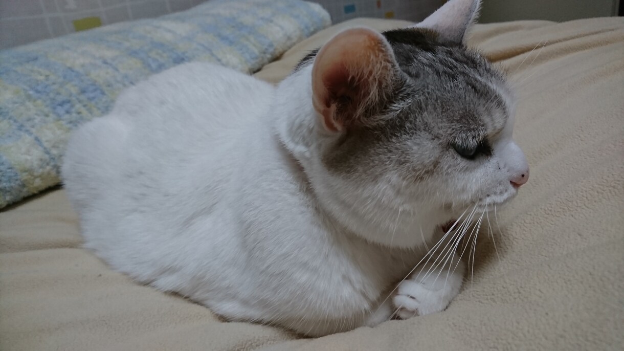 命理と易占(周易)であなたの恋の行方を占います 片想い.恋愛.不倫.離婚問題…男女の問題なら何でもどうぞ！ イメージ6