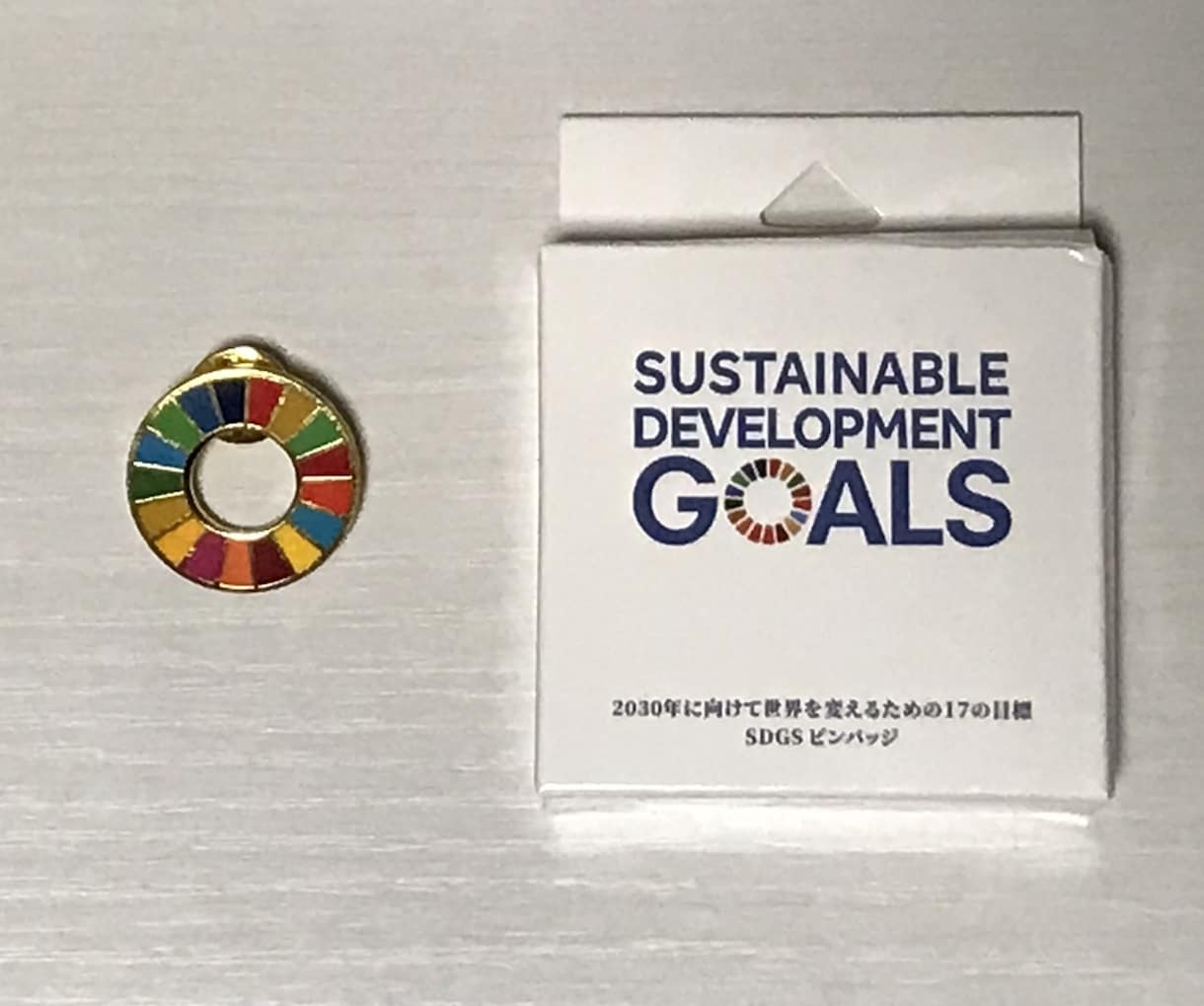 SDGs入門。基礎知識をアドバイスします 個人や家庭でできるSDGsの掘り起こしから始めましょう イメージ7