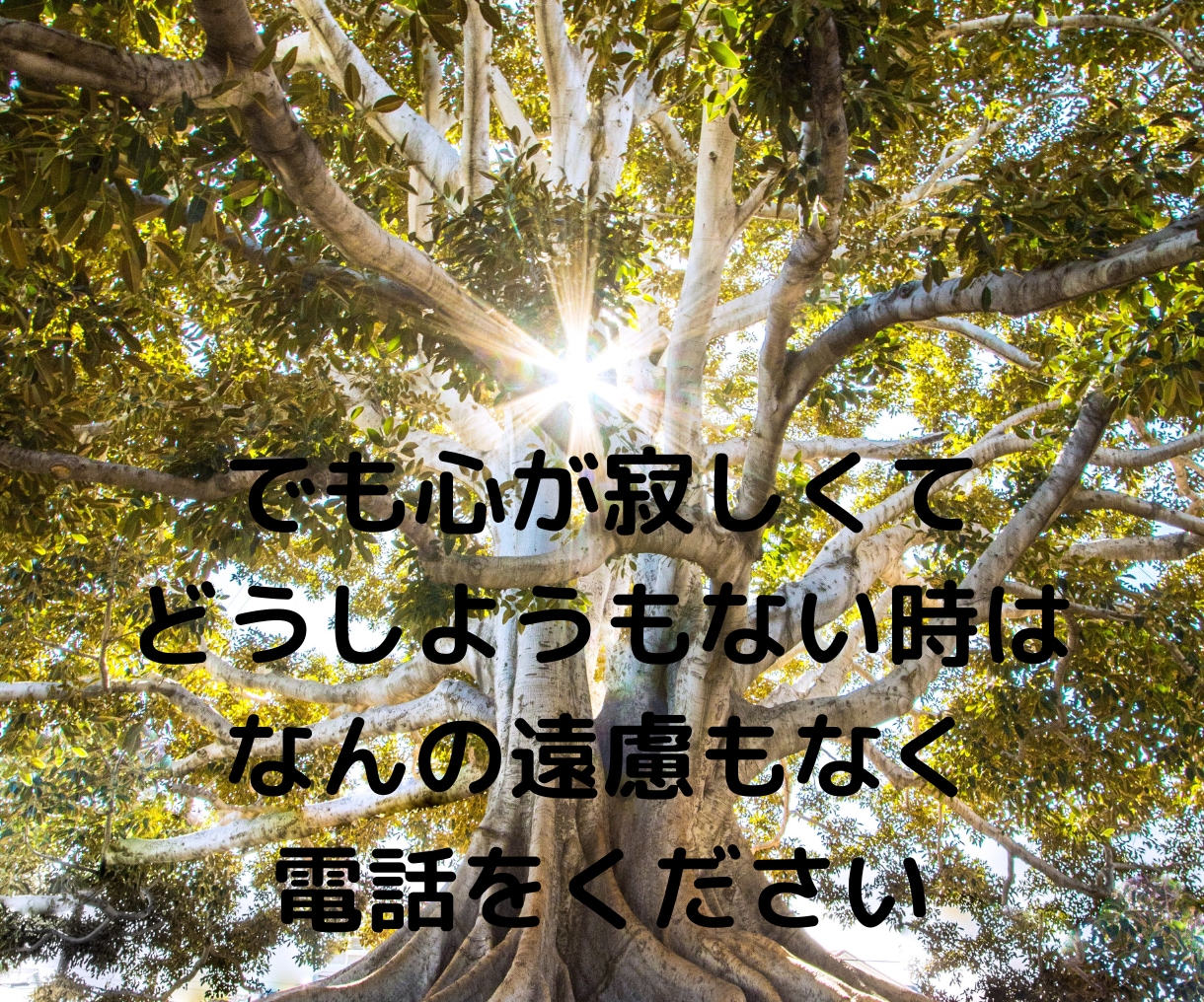 大切な人を亡くした方に寄り添い心を和らげます 心の苦しみ、後悔、喪失感など話してください。 イメージ9
