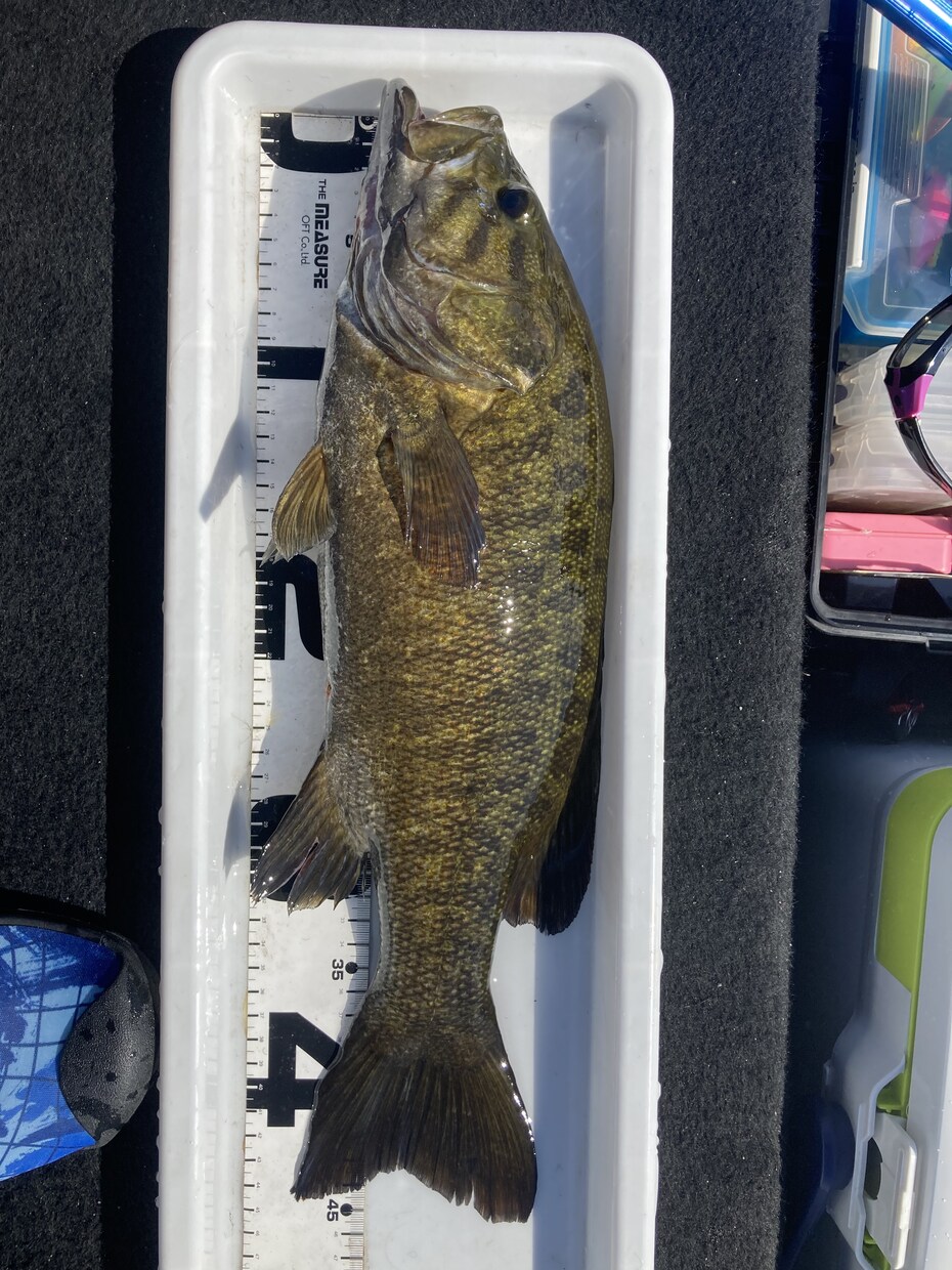 桧原湖でバス釣り釣果の上がる３つの基礎を伝授ます 1人でも多くの方に桧原湖を好きになってもらいたい想いです！ イメージ1
