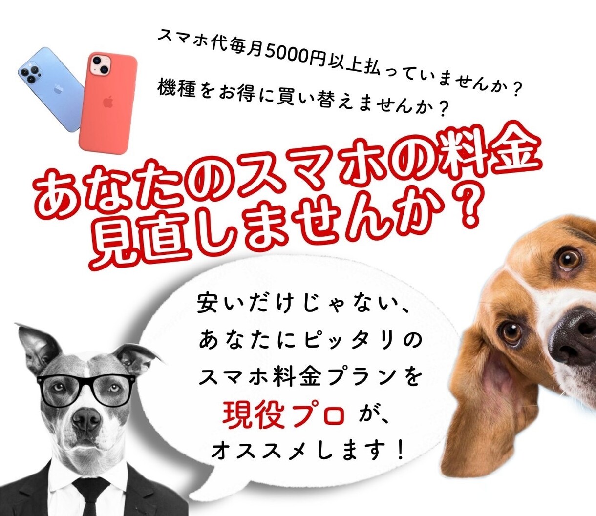 格安SIMで携帯料金や通信費を安くします 月間100件以上！現役のプロが最新の情報でお答えします。 イメージ1