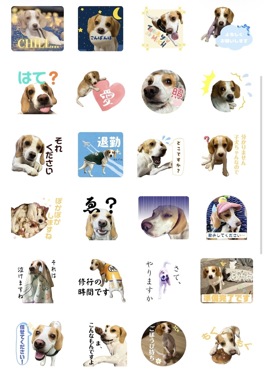 大切な家族のLINEスタンプを作成します 【かわいい・見やすい・使いやすい♡】 イメージ5
