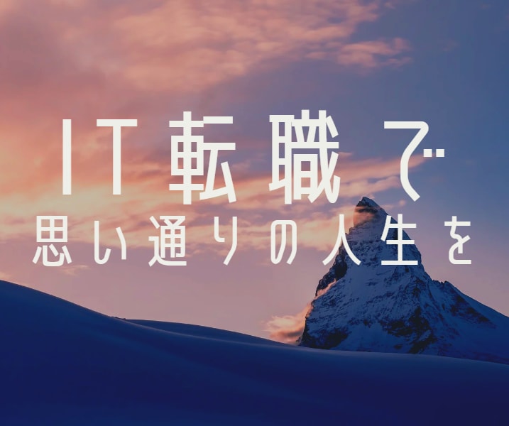 IT業界転職相談乗ります 現役外資ITコンサルタントによるキャリアアドバイス イメージ1