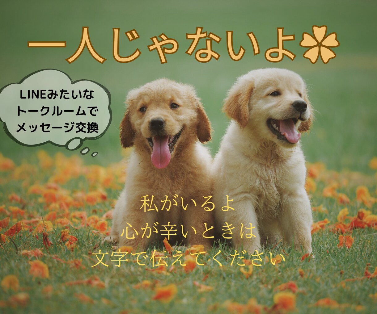 うつ病や、心が疲れている貴方のお話し相手になります 少しでも貴方の心が軽くなる様に。えみとお話ししよう。60分。 イメージ1