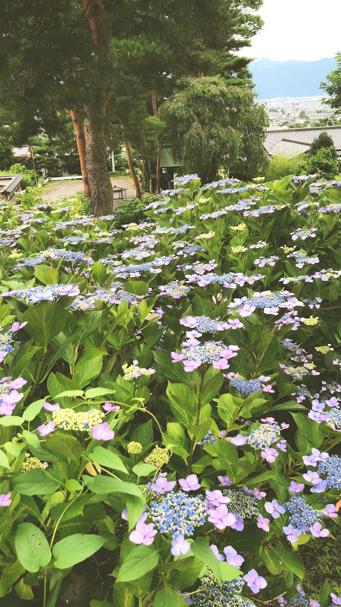 長野県旅行♡地元しかわからない場所教えます 長野県旅行東信地区。地元民にしかわからない場所教えます イメージ2