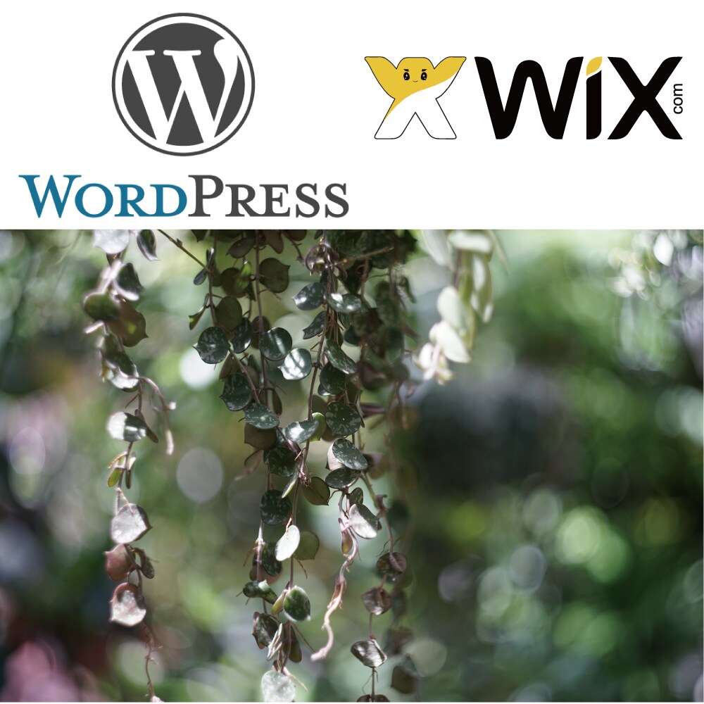 Wordpressで印象的なサイトお作り致します 類似サービスの中でも大変お得です！ イメージ1
