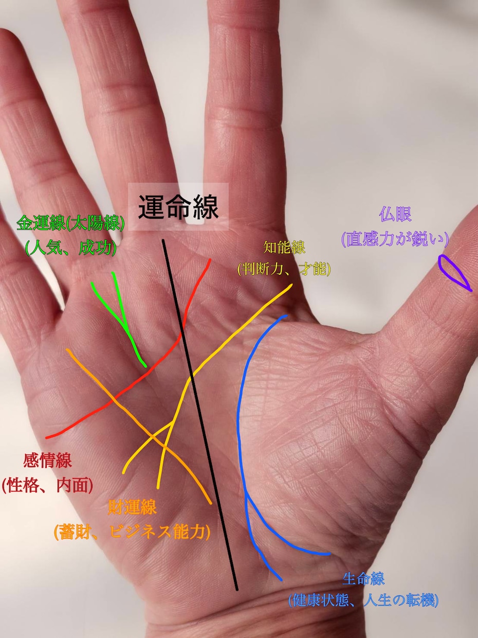 手のひらから、貴方の未来を深部までお伝えします 前向きな人生を歩めるように、私がお手伝いさせていただきます。 イメージ2