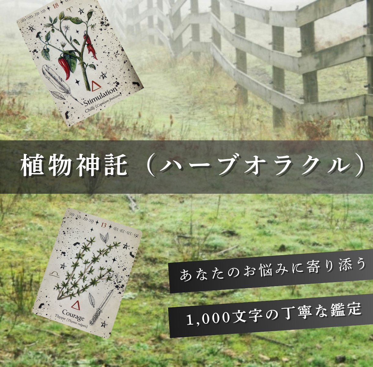 植物神託をお届け致します ハーブ・オラクルリーディング！植物の声をお伝えします イメージ1