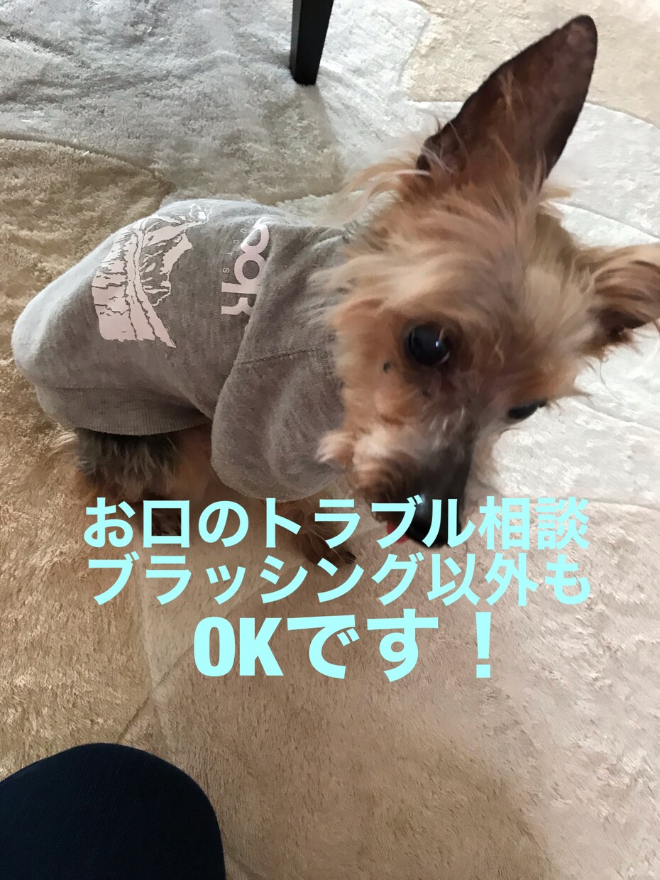 歯科衛生士によるブラッシング指導致します 今の歯磨きあってますか？お口の中のトラブル相談伺います！ イメージ1