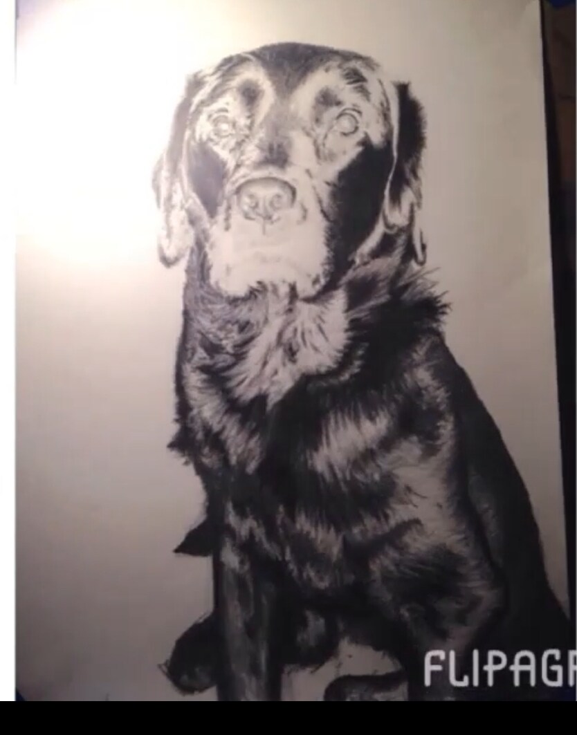 描いて欲しい絵、何でも描きます 白黒でカラフルよりカラフルにリアル魂を込めて描きます イメージ3