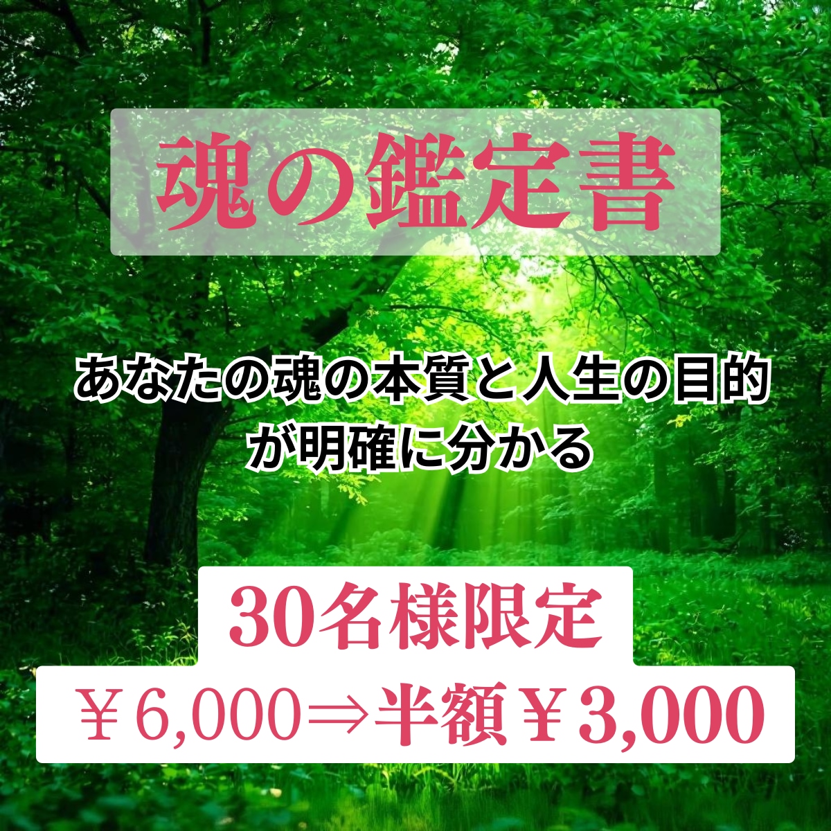 魂の声を紐解く～スピリチュアル鑑定書～作成ます あなたの魂の本質と使命を明確化します イメージ1