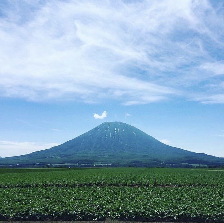 北海道女子一人旅のプランニングします 〜離島含め道内一周1人旅経験者からオススメ教えます〜 イメージ1
