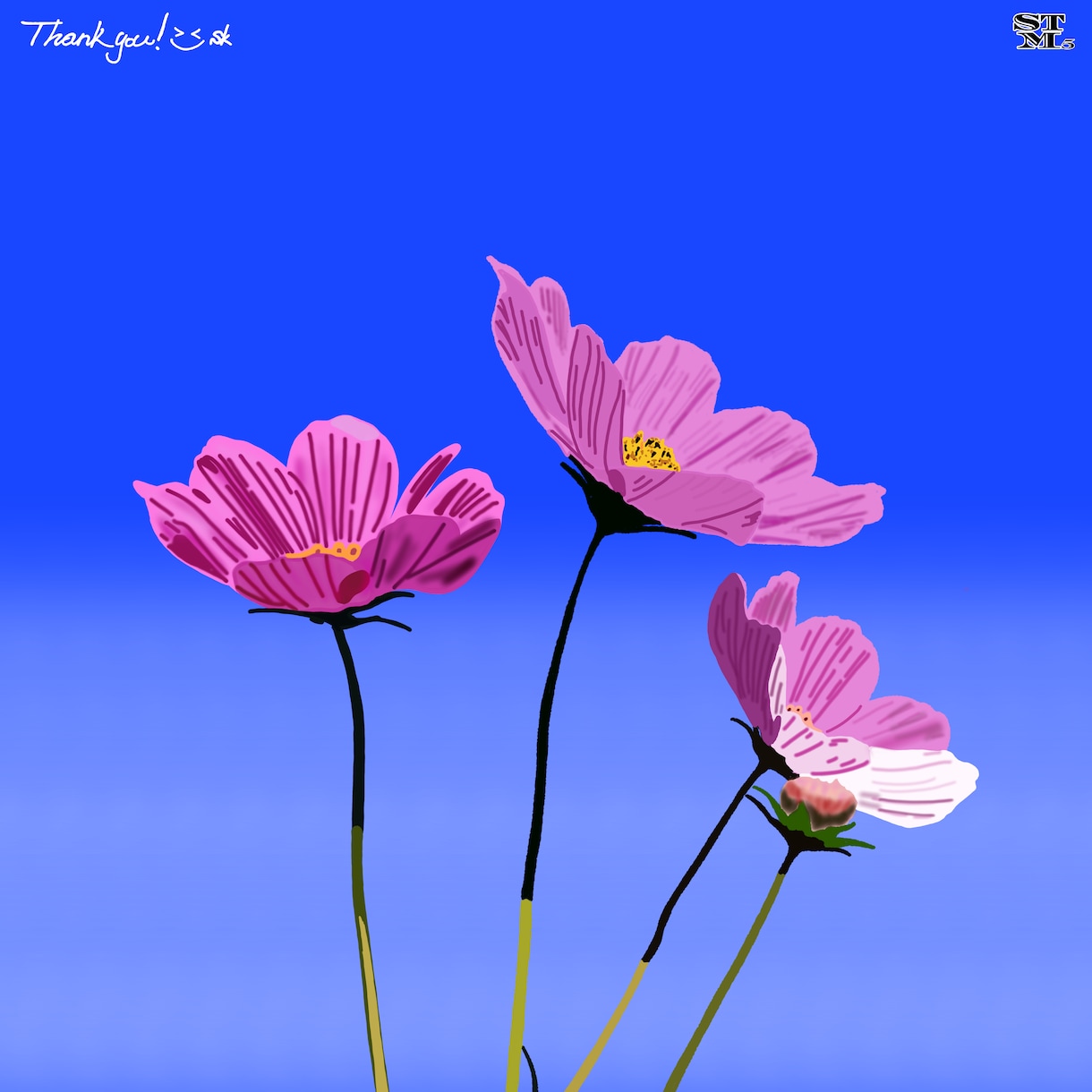 思い出の花などを忠実にイラストで描きます 植物(花)などを味わい深く、出来るだけ忠実に描きます！ イメージ9