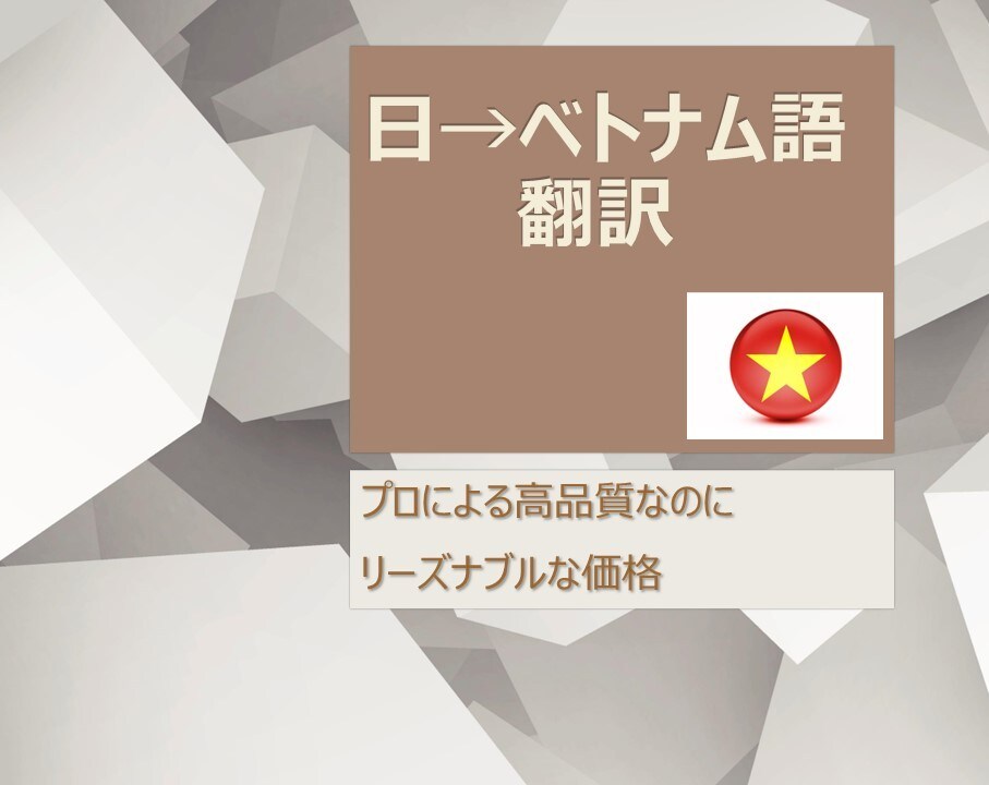 ビジネスや医療など専門的文章を翻訳します 経験と実績があるベトナム人が行います！ イメージ1