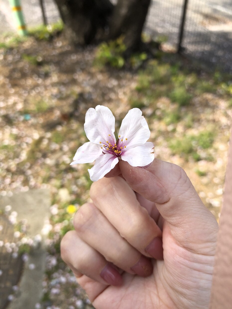 １分でも！命の電話が繋がらない！お話聞きます １分でも◎人間関係、恋愛、仕事、疲れたあなたを受け止めます！ イメージ1