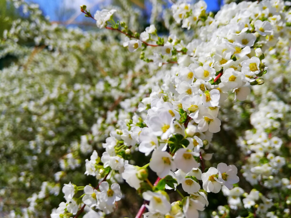 占いで子供の頃のあなたを癒やします 辛い思い出の中にいる自分に手を差し伸べるのはあなたです。 イメージ2