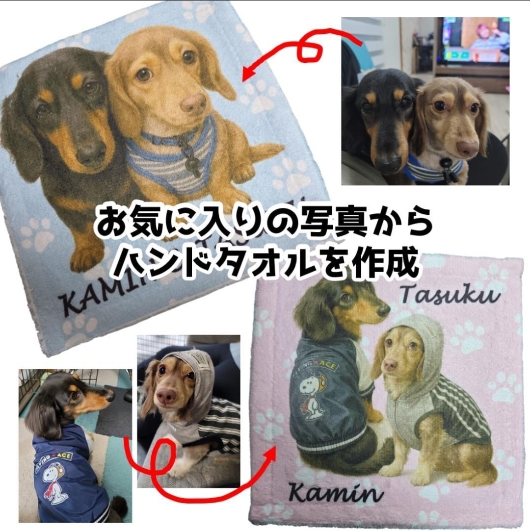 愛犬の写真からうちの子オリジナルミニタオル作ります 愛犬、愛猫、ペットのお写真からオリジナルのハンカチを作成 イメージ1