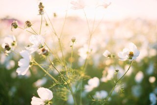 身近な人に話しづらいお悩みや愚痴聞きます 【誰かに聞いてほしい、想いを吐き出したい、とことん聞きます】 イメージ3