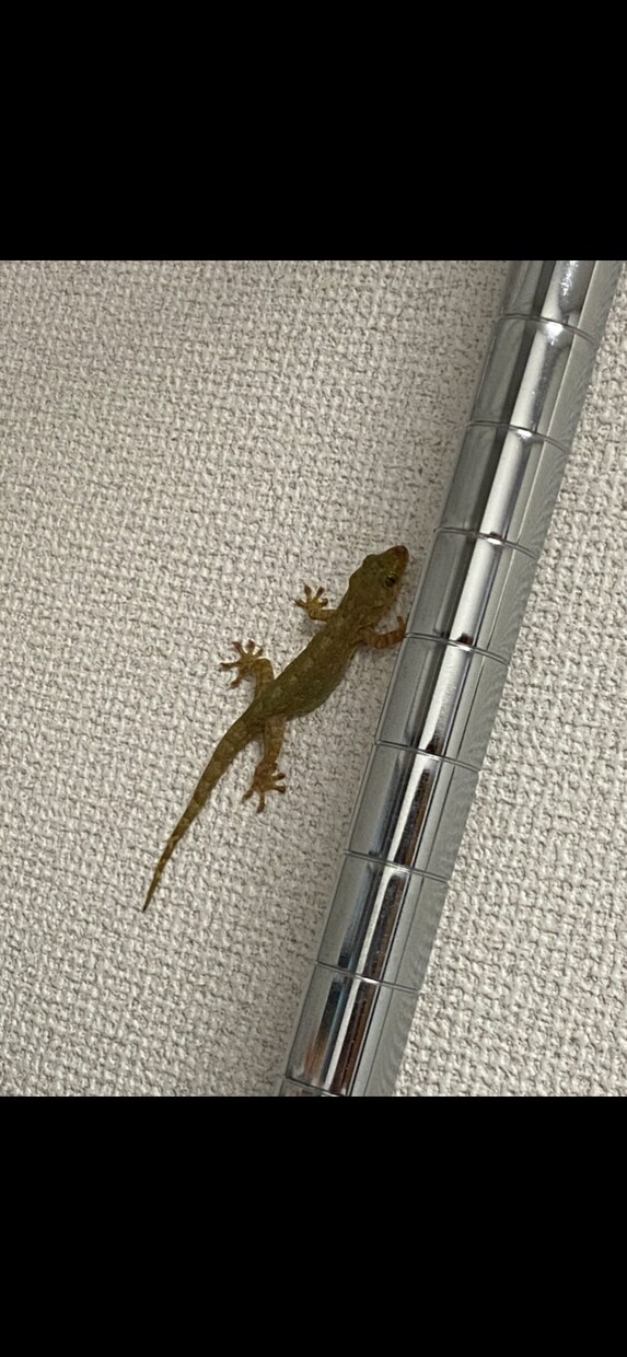 なんでも聞きます 愚痴でも恋愛話でも自慢でもなんでも聞くで イメージ1