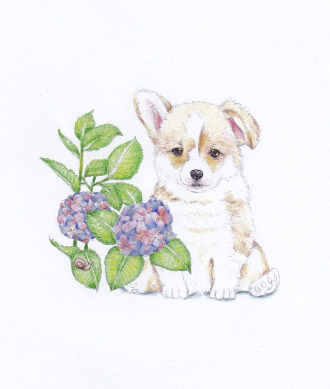 可愛いペット似顔絵お描きします ＊カラフル＊シンプル＊お客様好みに＊思い出をイラストに＊ イメージ1