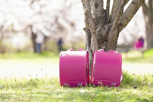 お子さんと、どう向き合えば良いのかお教え致します 今は学校へ行けなくても大丈夫です⭐お話聴きます イメージ3