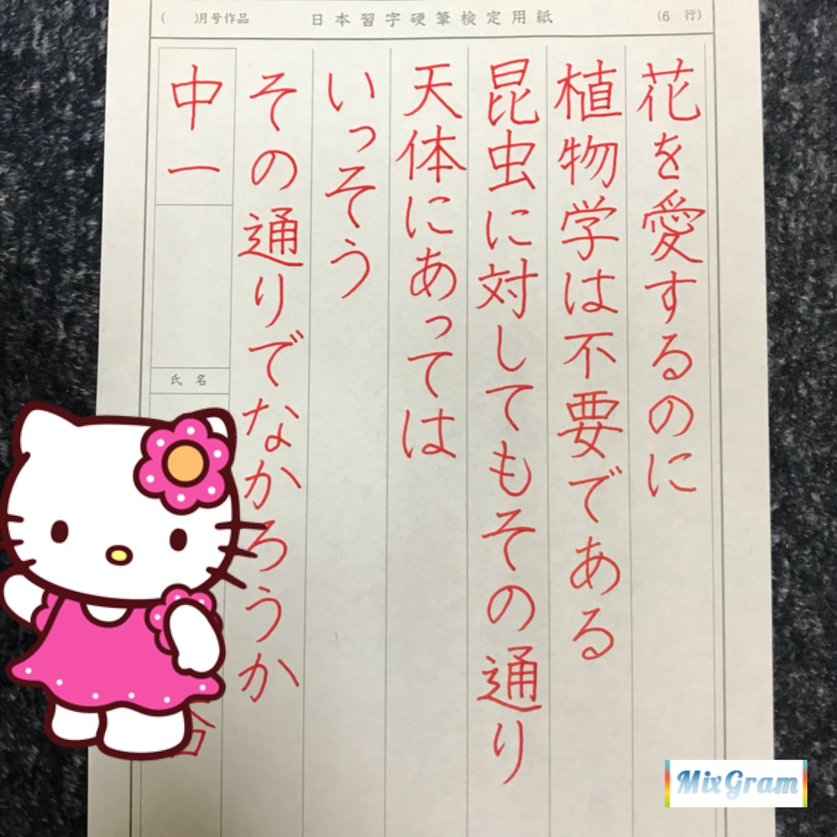 習字、硬筆、ペン字お手本や採点、代筆致します 字をキレイに書きたい方、代筆お願いしたい方 イメージ1