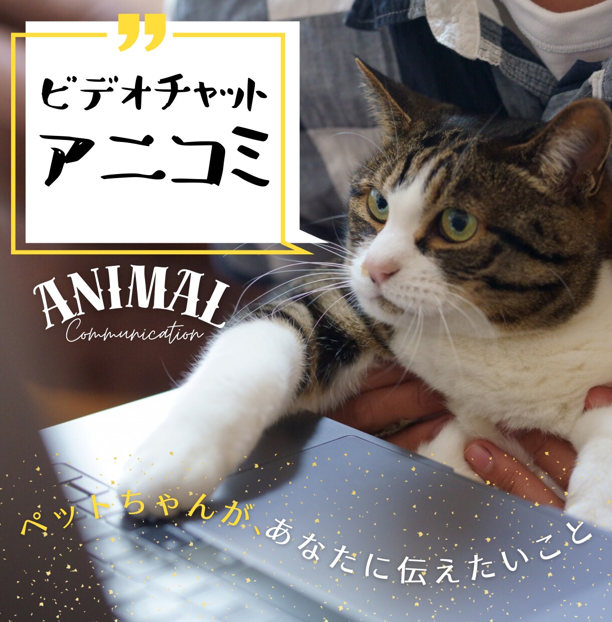 アニマルコミュニケーションで動物の気持ちを聞きます ペットちゃんがあなたに伝えたいことがあるようです。 イメージ1