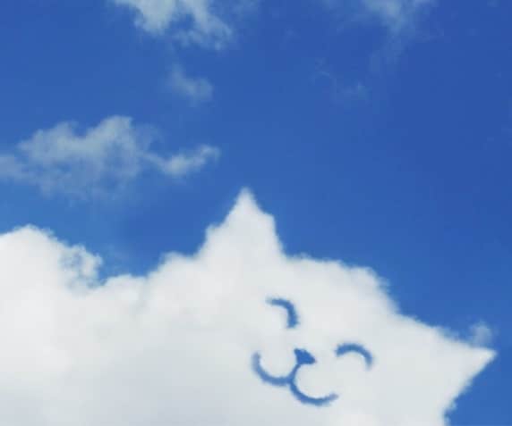 あなたの心の保健室になります 心が疲れて癒しが欲しいあなたへ イメージ4