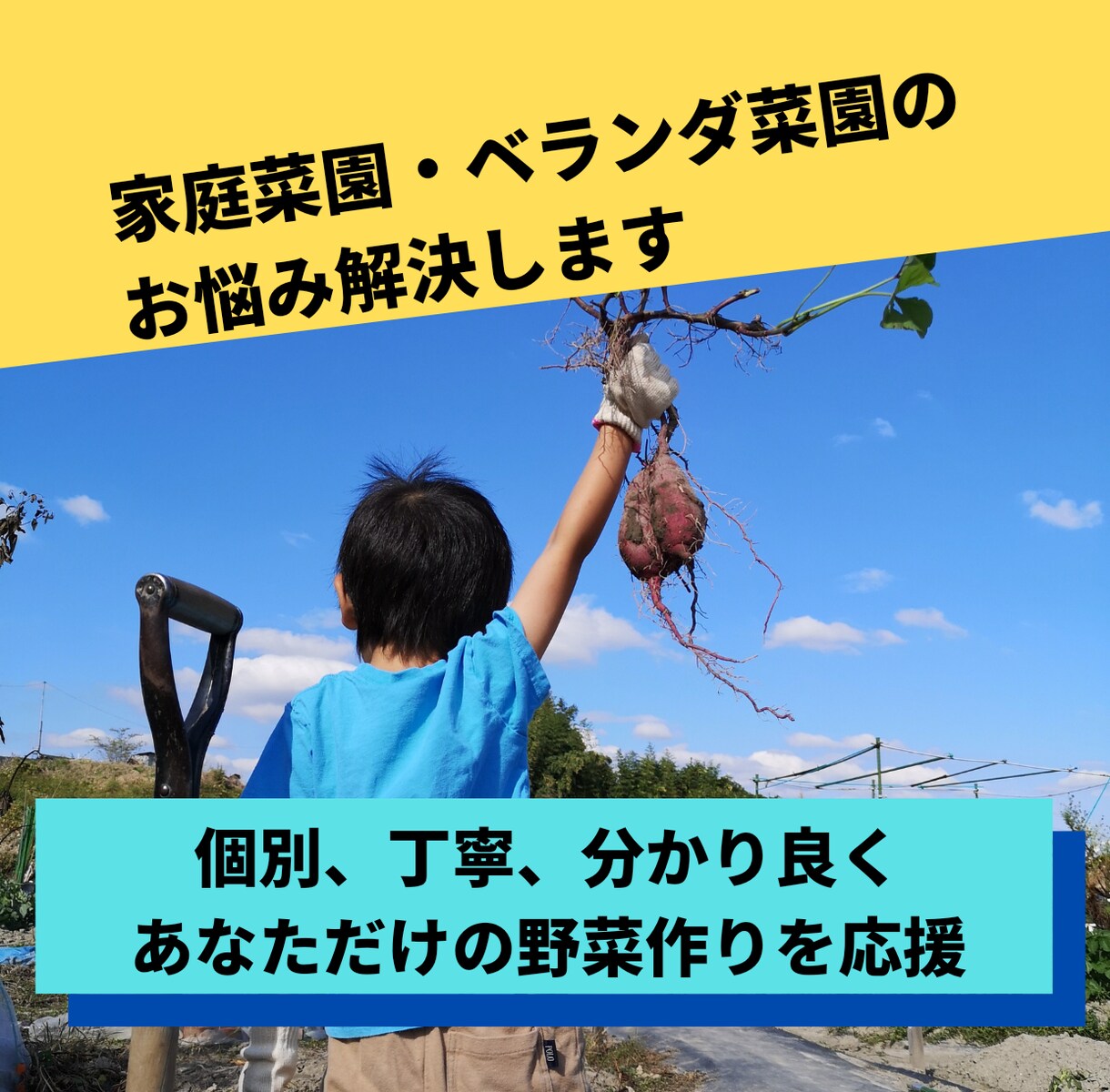 家庭菜園はお任せ！お悩み解決します 土作り、プランター、ベランダ、日陰、様々な話題に丁寧に対応！ イメージ1