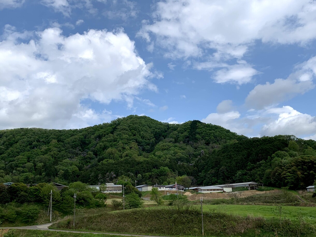 あなたの心の声をお聞きします 恋愛、子育て、人間関係、どんなことでもお話し下さい イメージ1